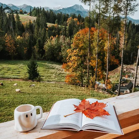 Mountain Base - Dom Hrabiego Chalet Zakopane
