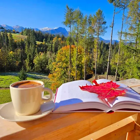 Mountain Base - Dom Hrabiego * Zakopane